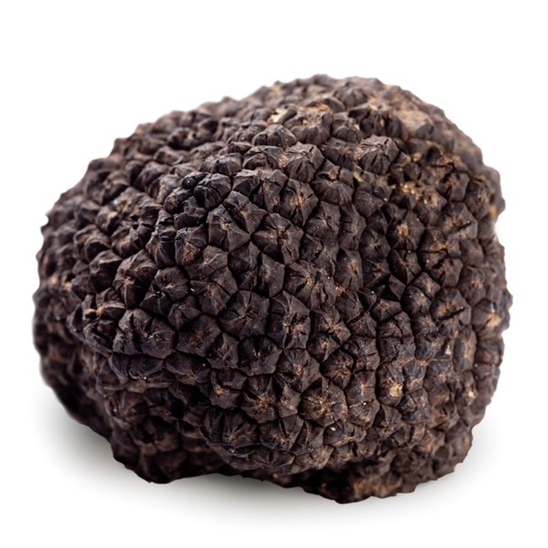 Black Truffle Mushroom (10 lb) Instacart