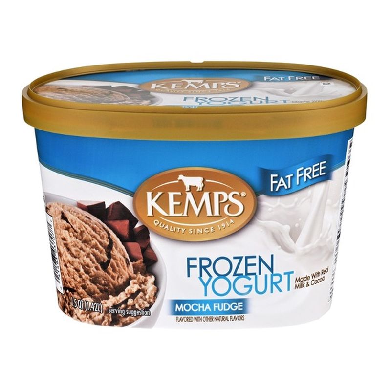 Kemps Fat Free Mocha Fudge Frozen Yogurt (1.5 qt) - Instacart