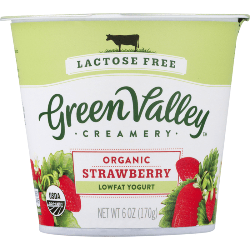Green Valley Organics Organic Lactose Free Strawberry Yogurt (6 oz