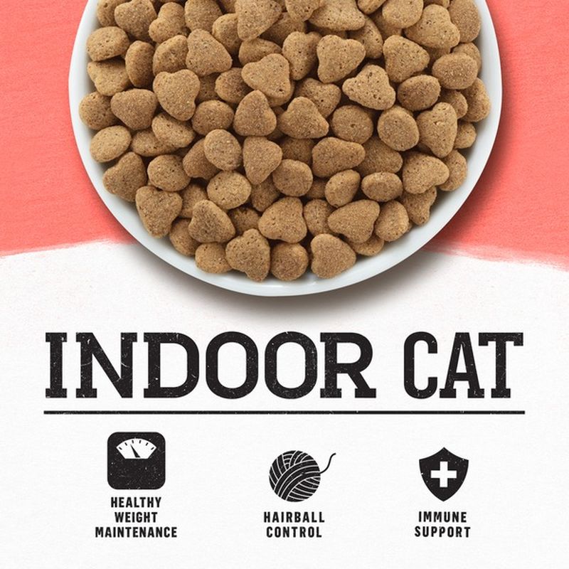 Purina Beyond Grain Free, Natural Dry Cat Food, Simply Indoor Salmon