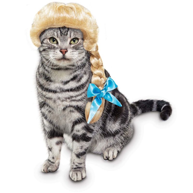 Small to Medium Halloween Goldie Locks Wig