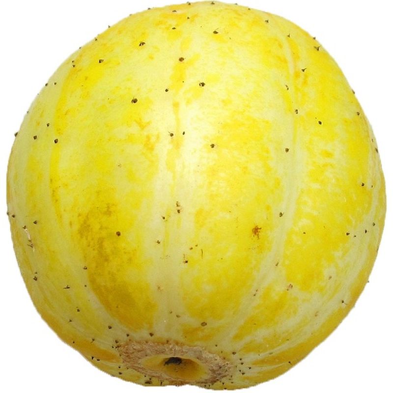 Lemon Cucumbers