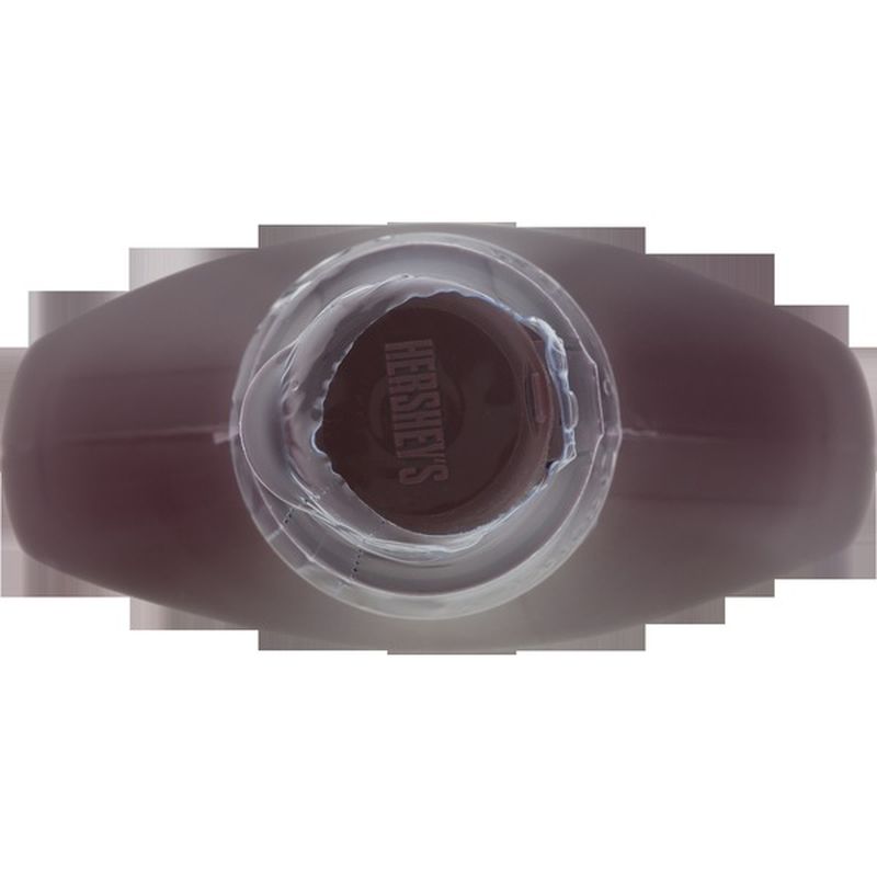 Hershey U0026 39 S Syrup Sugar Free Genuine Chocolate Flavor 17