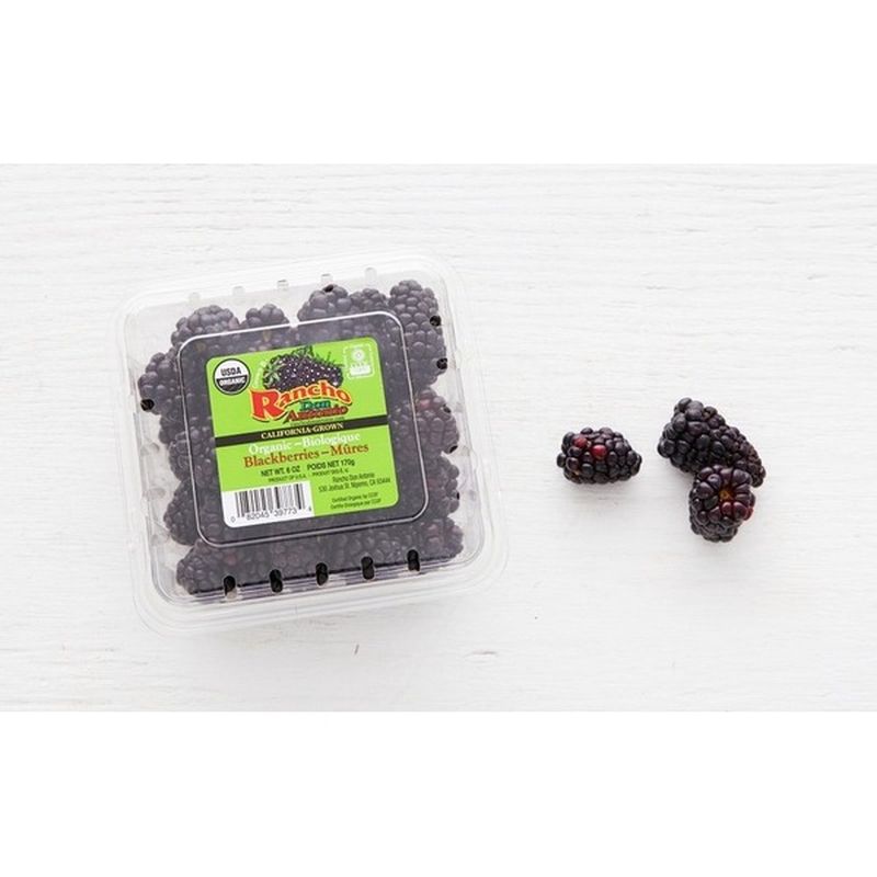 Rancho Don Antonio Organic Blackberries