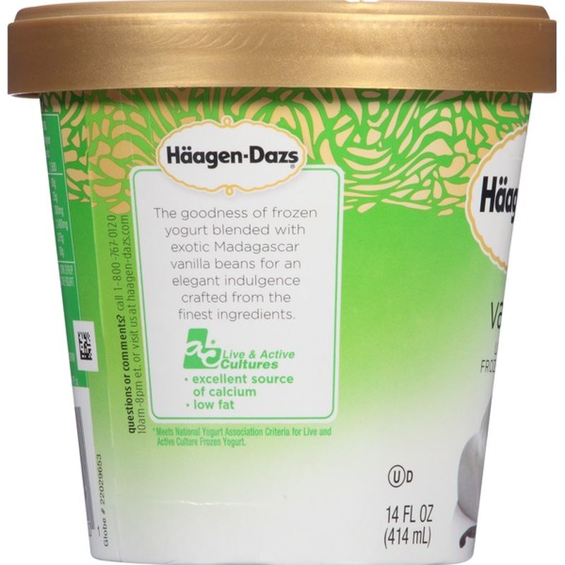 HaagenDazs Vanilla Low Fat Frozen Yogurt (14 fl oz) Instacart