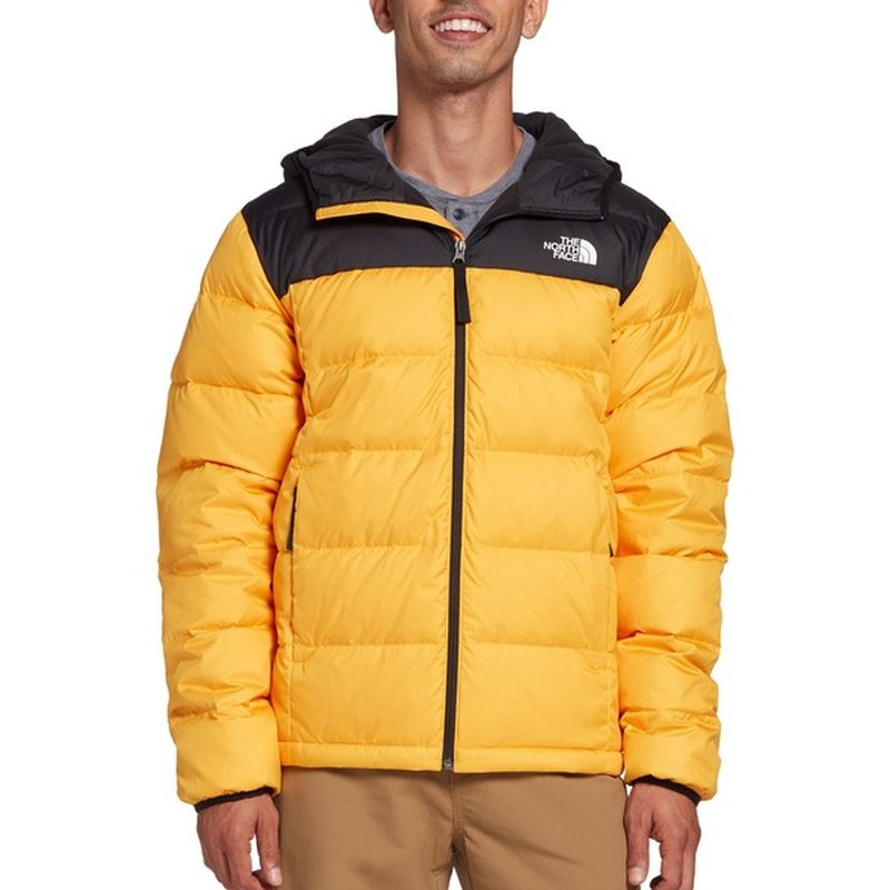 north face alpz luxe hooded jacket