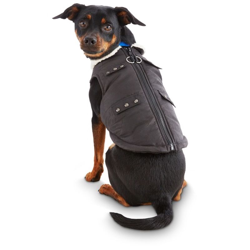 Petco Wag A Tude Black Stud Pocket Dog Bomber Jacket Medium (each) Instacart