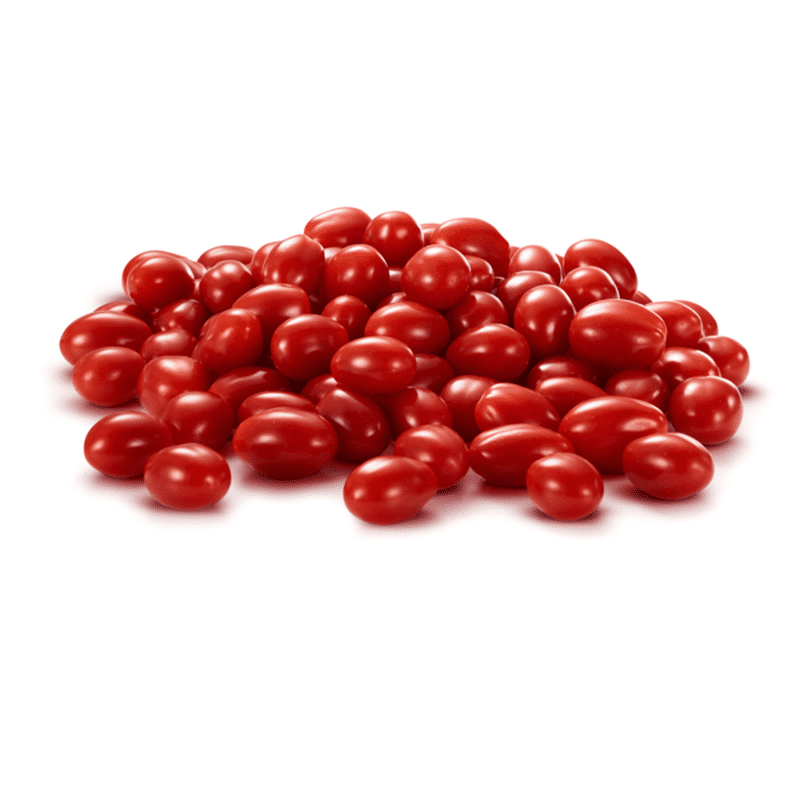 Fririda Star Tomate
