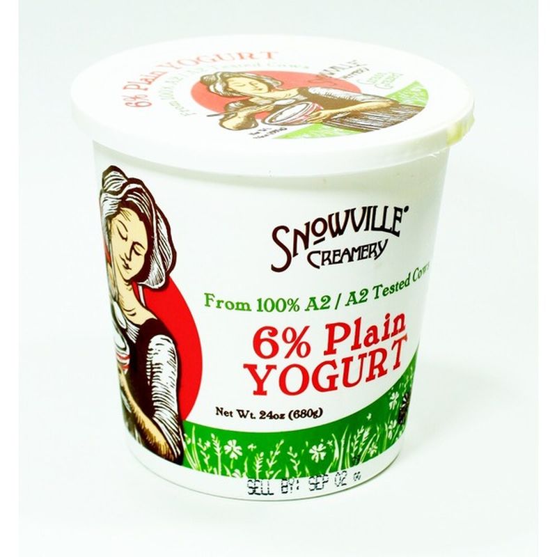 Snowville Creamery Yogurt, 6 Plain (24 oz) from Kroger Instacart