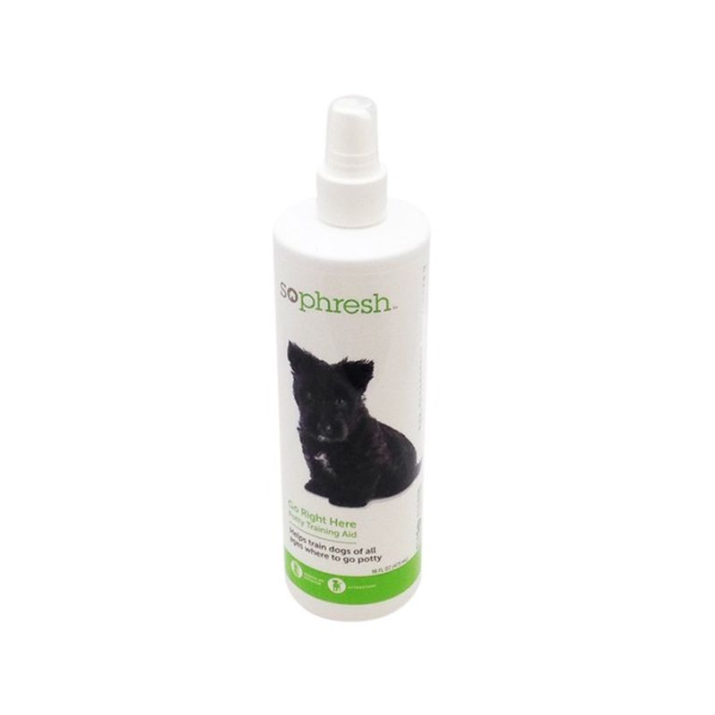 cat potty training spray