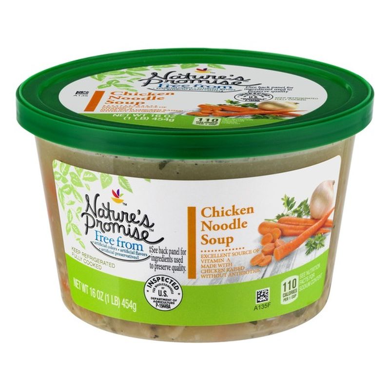 Nature's Promise Soup Chicken Noodle (16 oz) - Instacart