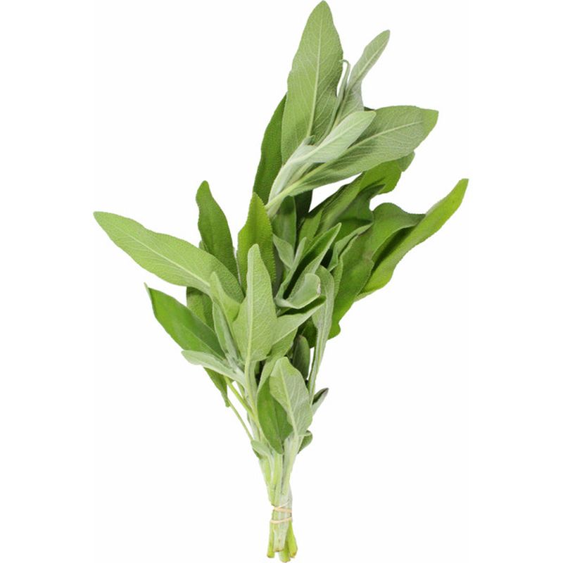 Organic Dried Sage