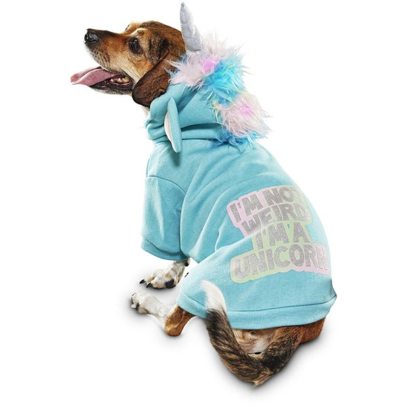 Small Halloween Unicorn Dog Hoodie