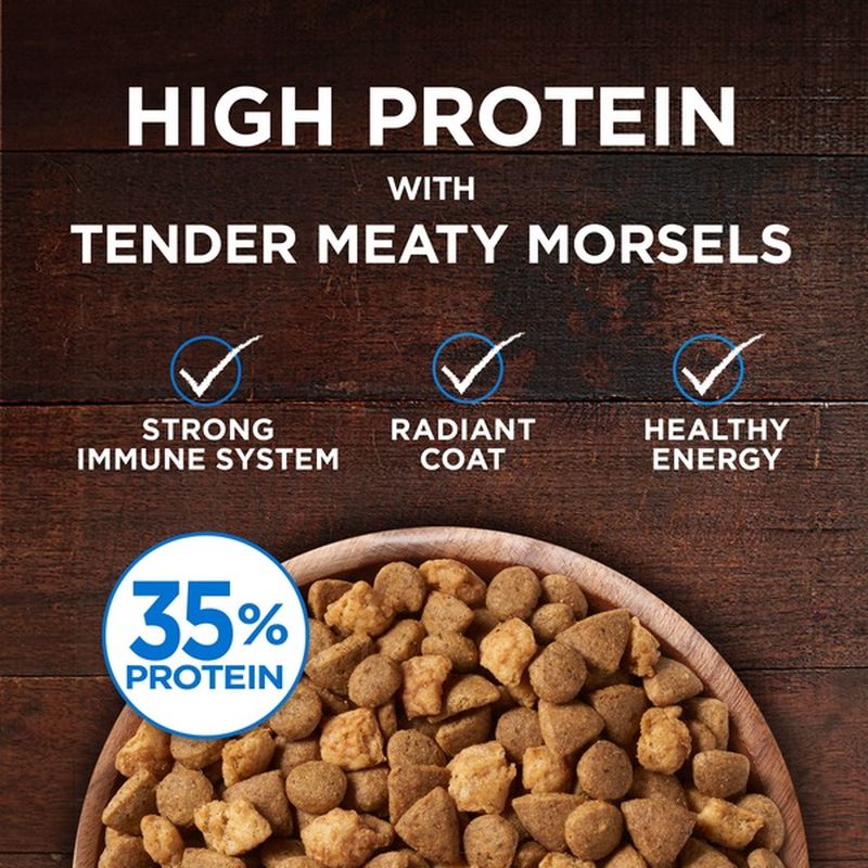 Purina ONE Natural, High Protein, Grain Free Dry Cat Food, True