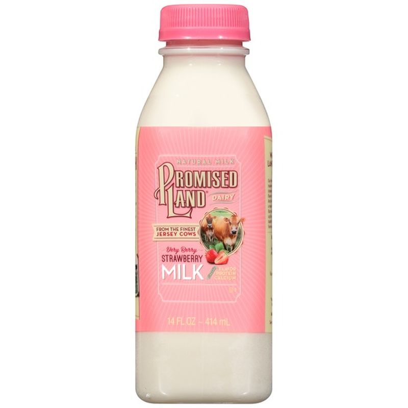 Promised Land Milk, Very Berry Strawberry (14 fl oz) - Instacart