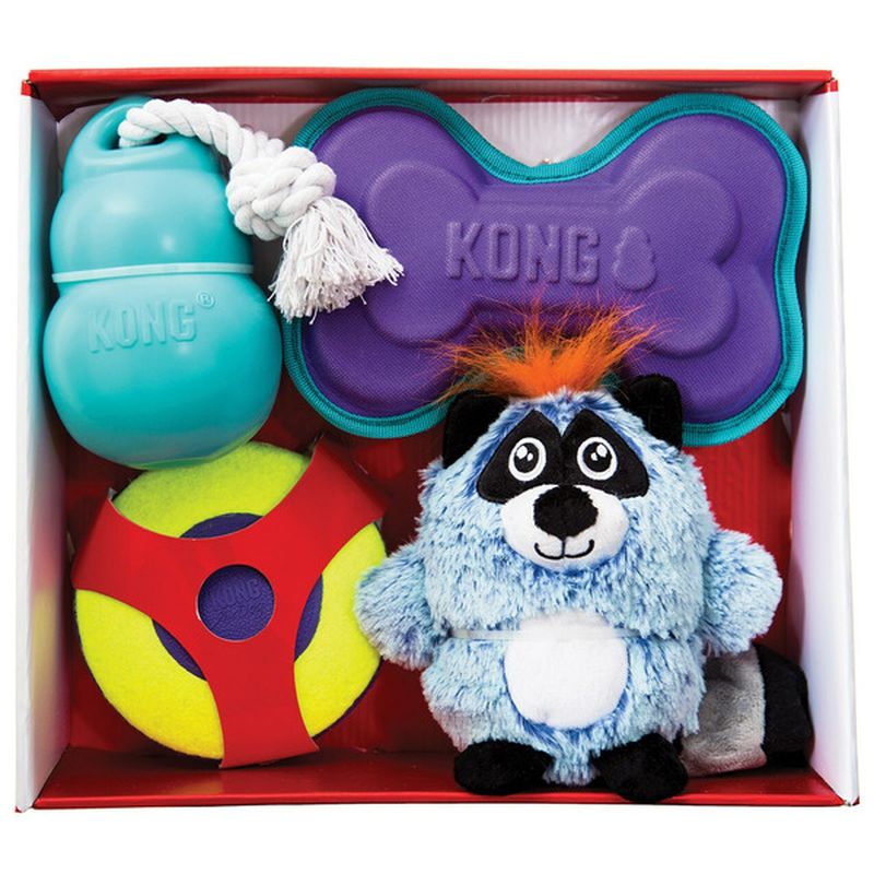 kong toy pack