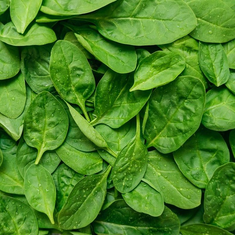 Baby Spinach Package (11 oz container) - Instacart