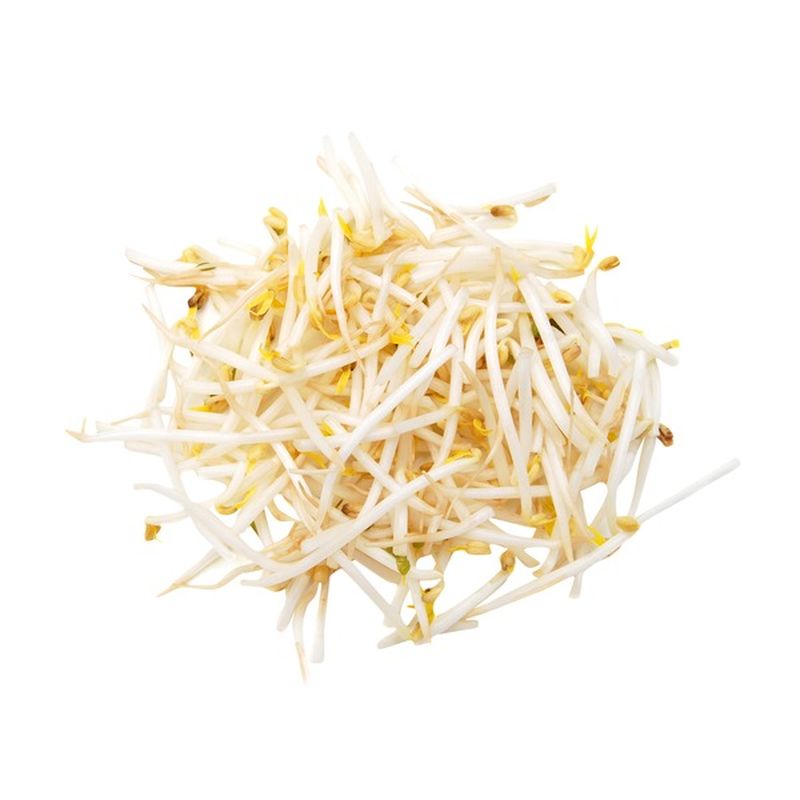 Bean Sprouts Bag (1 ct) Delivery or Pickup Near Me Instacart