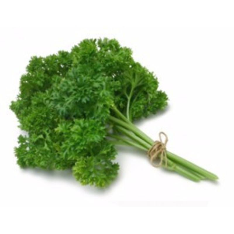 Italian Parsley