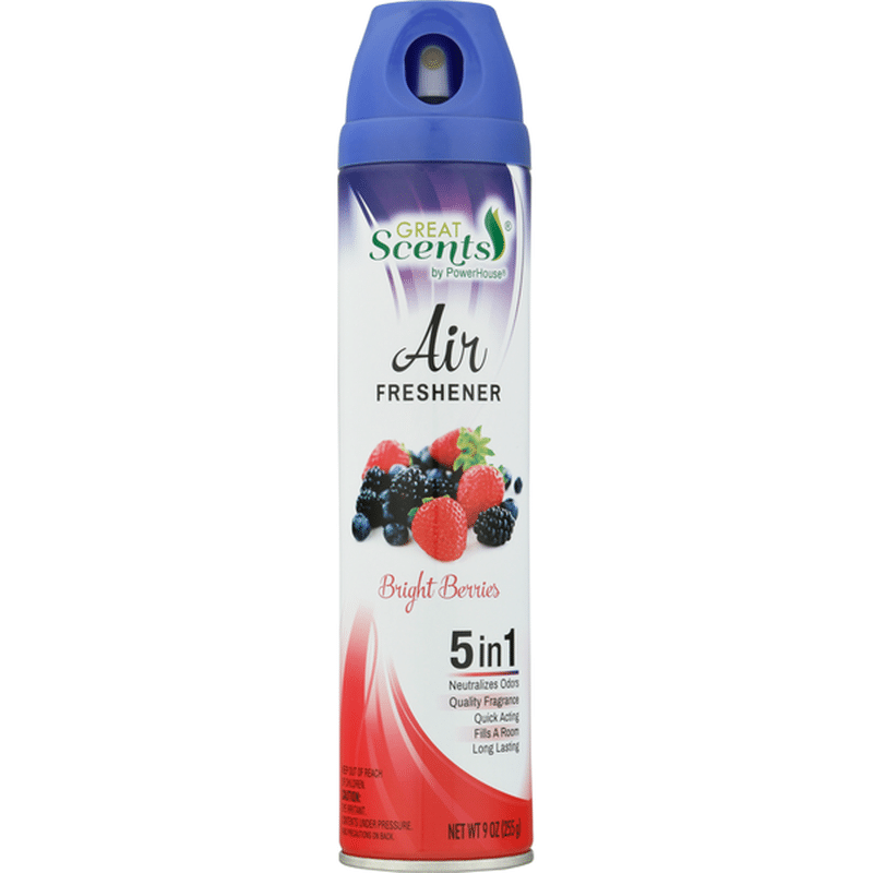 Great Scents Air Freshener, Bright Berries, 5 In 1 (9 oz) Instacart