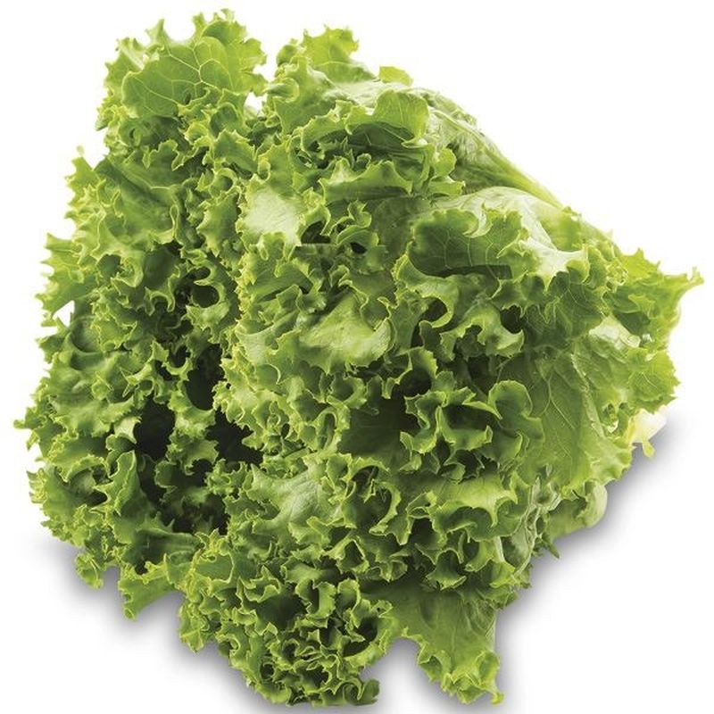 Organic Green Leaf Lettuce 1 Ct From Publix Instacart 1737