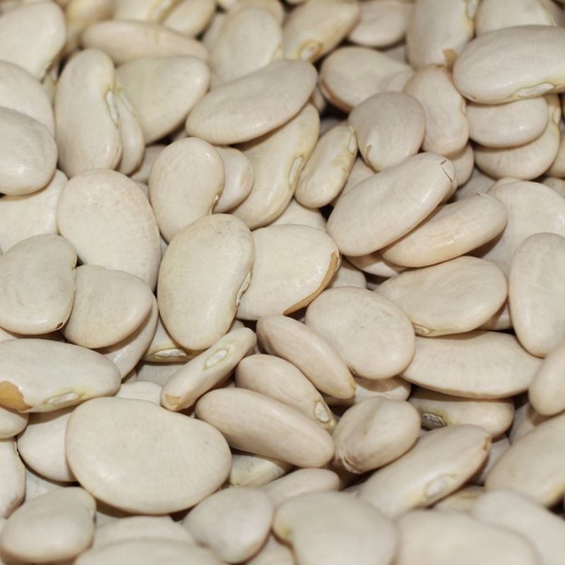 Bulk Beans Organic Christmas Lima Beans (1 lb) Delivery or Pickup Near