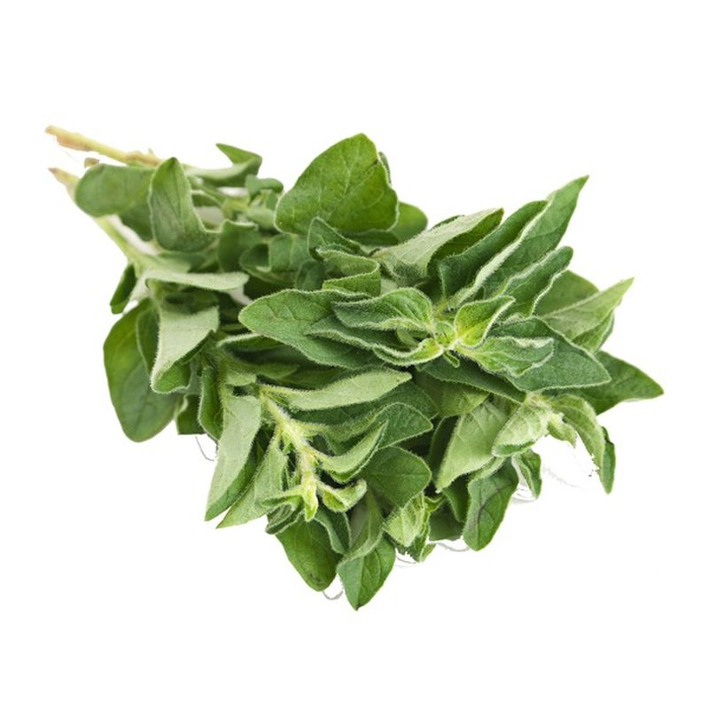 Oregano Bunch (1 lb bunch) Instacart