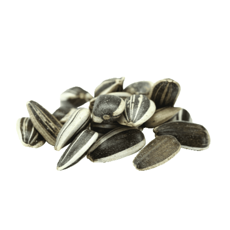 Raw In Shell Sunflower Seeds, Bulk (1 lb) Instacart