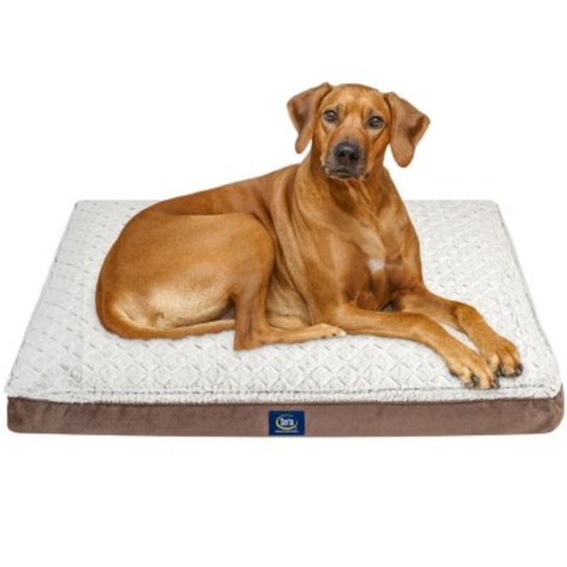 serta perfect sleeper dog bed