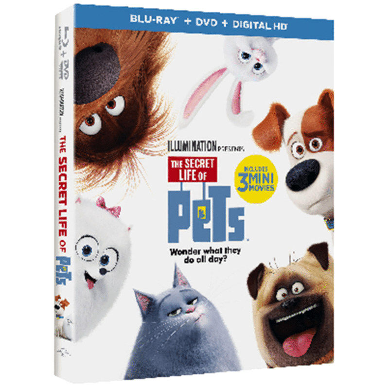 Universal Studios Home Entertainment The Secret Life of Pets Blu-ray DVD Digital HD