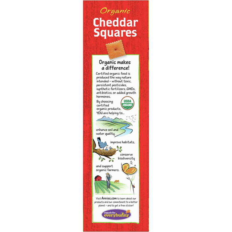 Annie's Organic Cheddar Squares Baked Snack Crackers (11.25 oz) - Instacart
