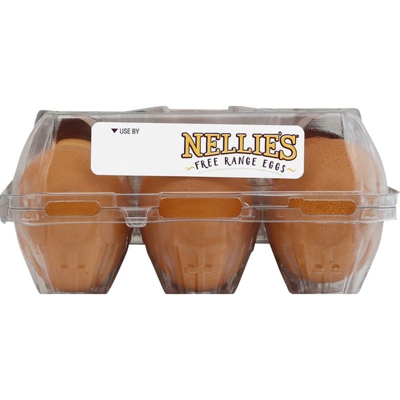 Nellie's Eggs, Brown, Free Range, Large (18 ct) from Publix Instacart