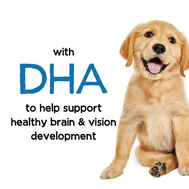 beneful healthy puppy