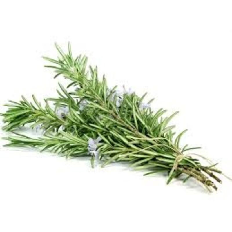 Rosemary