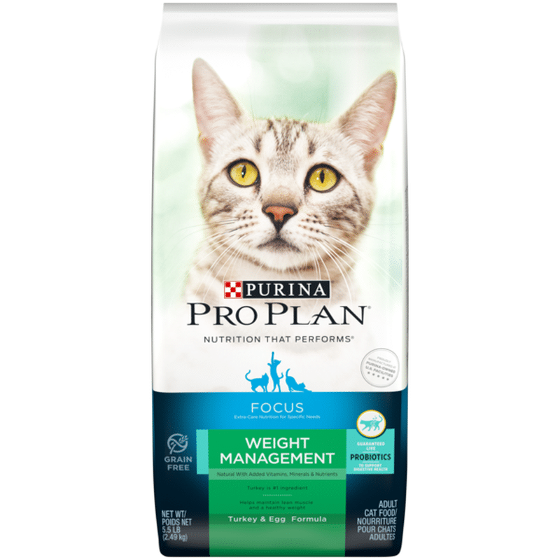 dry cat food with probiotics