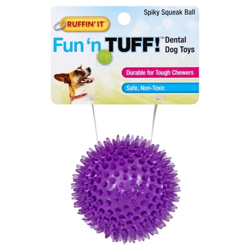 large squeaky dog balls