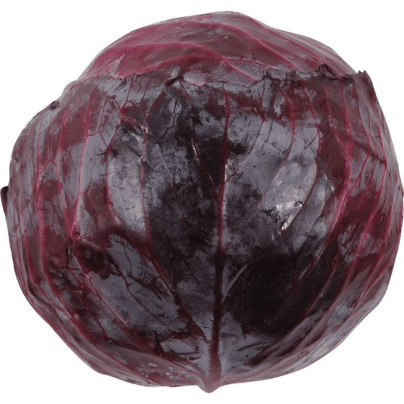 Organic Cabbage Red