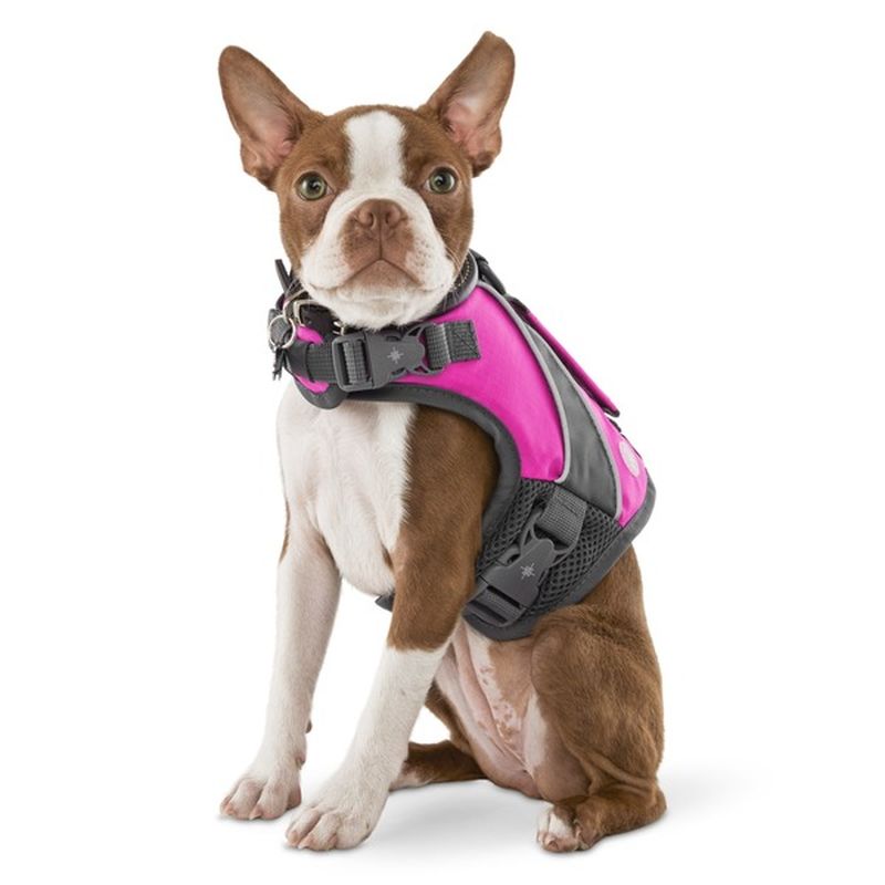 small dog flotation vest