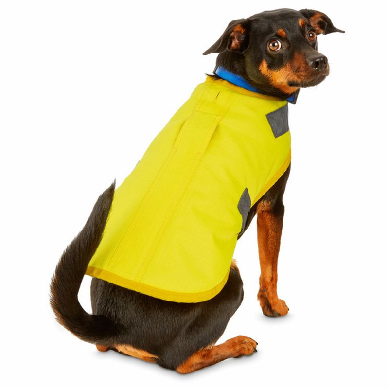 Good2 Go Yellow Barn Light Up LED Dog Coat