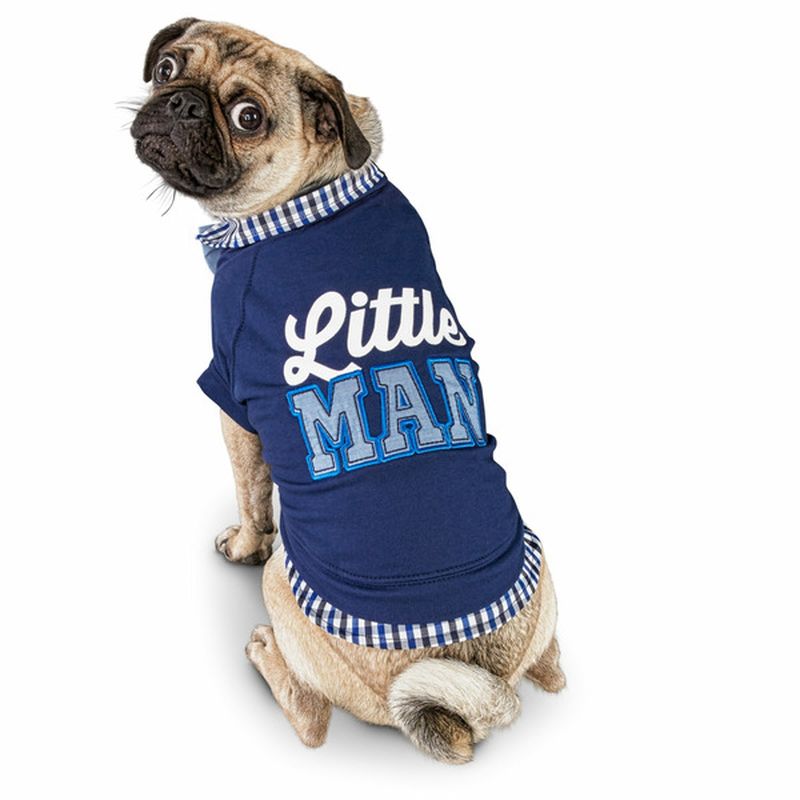 Bond & Co. Small Little Man Collar T Shirt