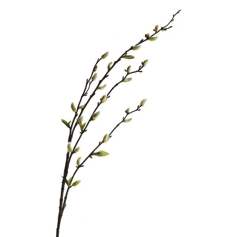 Consumer Bunches Curly Willow Branch