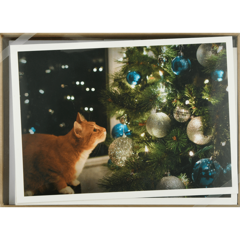 palm-press-boxed-christmas-cards-cat-1-each-instacart