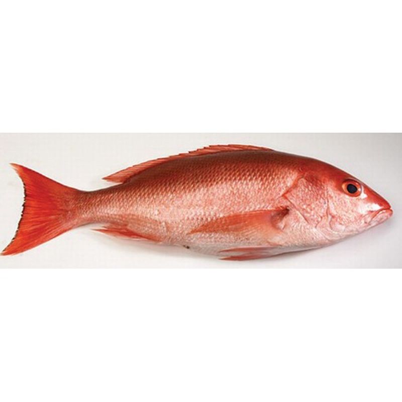 Nz 1-2 Pound Fresh Whole Red Snapper Each - Instacart