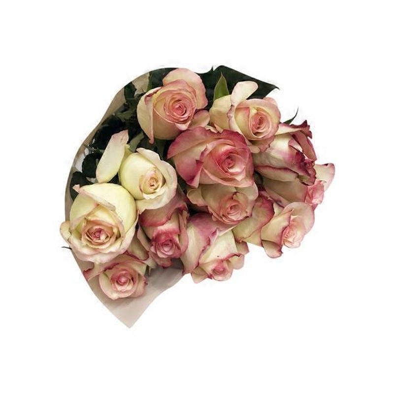 12 Stem Rose Novelty Guar (each) Instacart