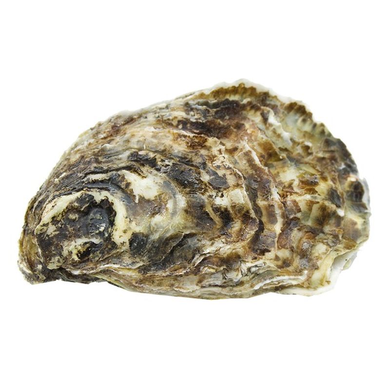 Medium Eastern Live Oysters (each) Instacart
