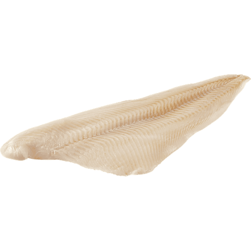 Previously Frozen Turbot Fillet
