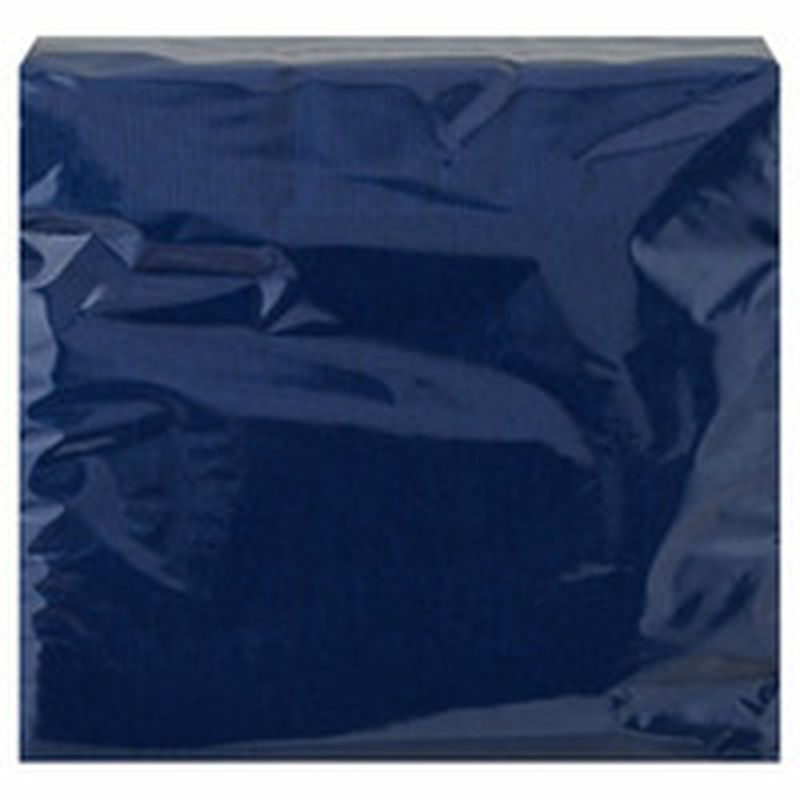 Touch of Color Navy 2-Ply Paper Lunch Napkins