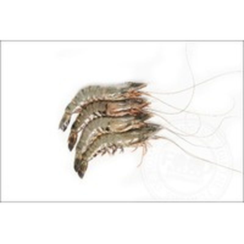 Extra Colossal U10 Tiger Shrimp Per Lb Instacart