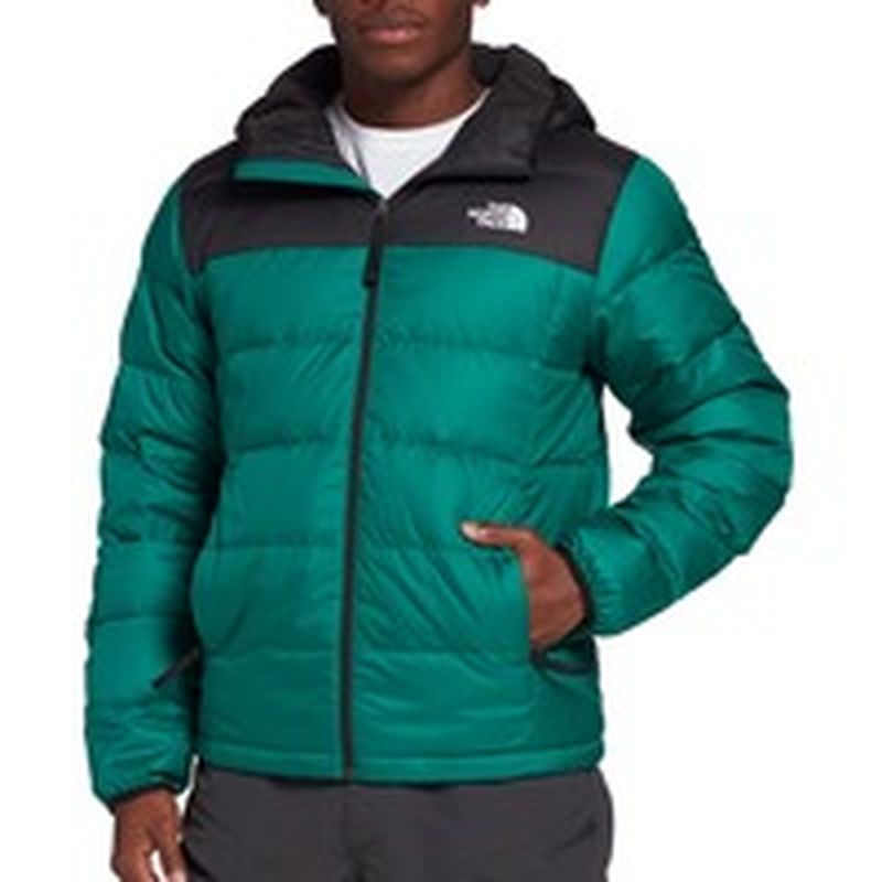 north face men's alpz luxe