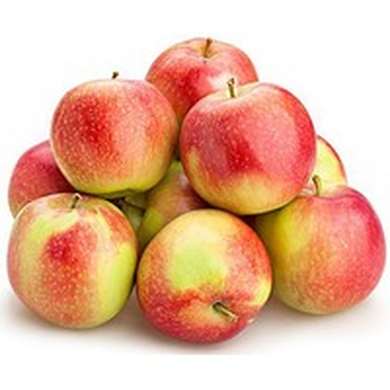 Bagged Autumn Glory Apples